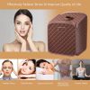 Indoor Private 2L Folding Steam Sauna Spa Tent